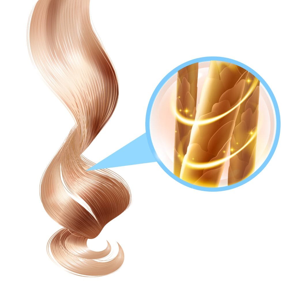 dibujo realista de un mechón de cabello y su estructura